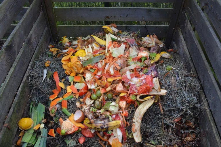 The Global Environmental Benefits of Halving Avoidable Consumer Food Waste