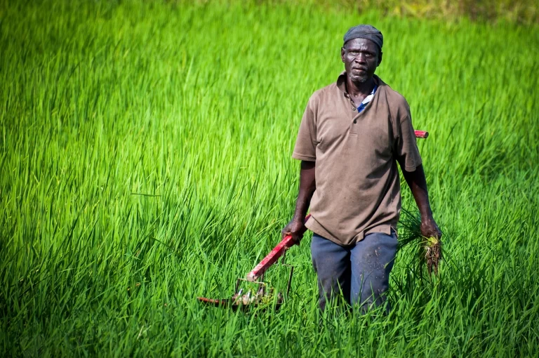 Trade-offs between social and environmental Sustainable Development Goals