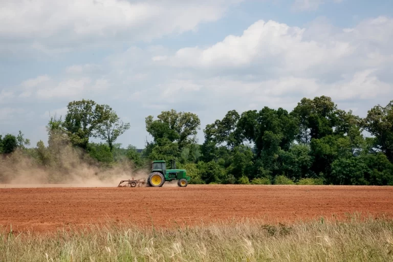 FAO's 1.5 °C roadmap for food systems falls short
