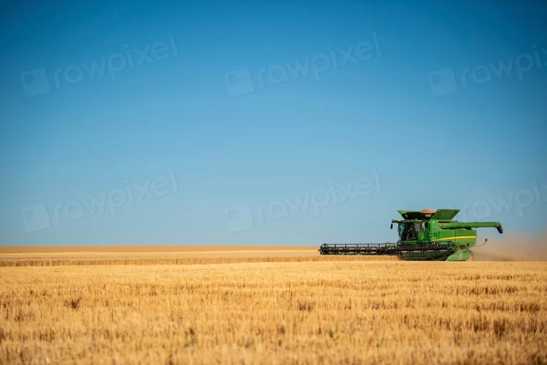 Energy use in the global food system