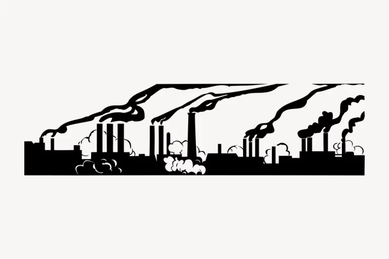 Environmental responsibility for sulfur dioxide emissions and associated biodiversity loss across Chinese provinces
