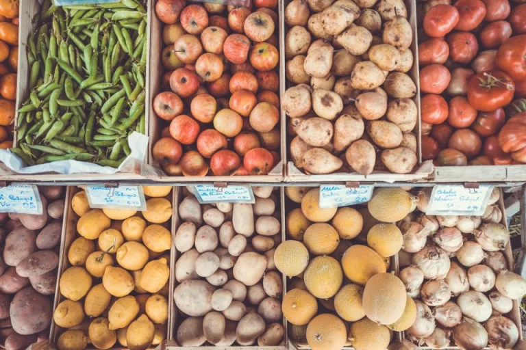 Dietary change in high-income nations alone can lead to substantial double climate dividend